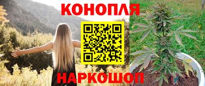 трава Будённовск