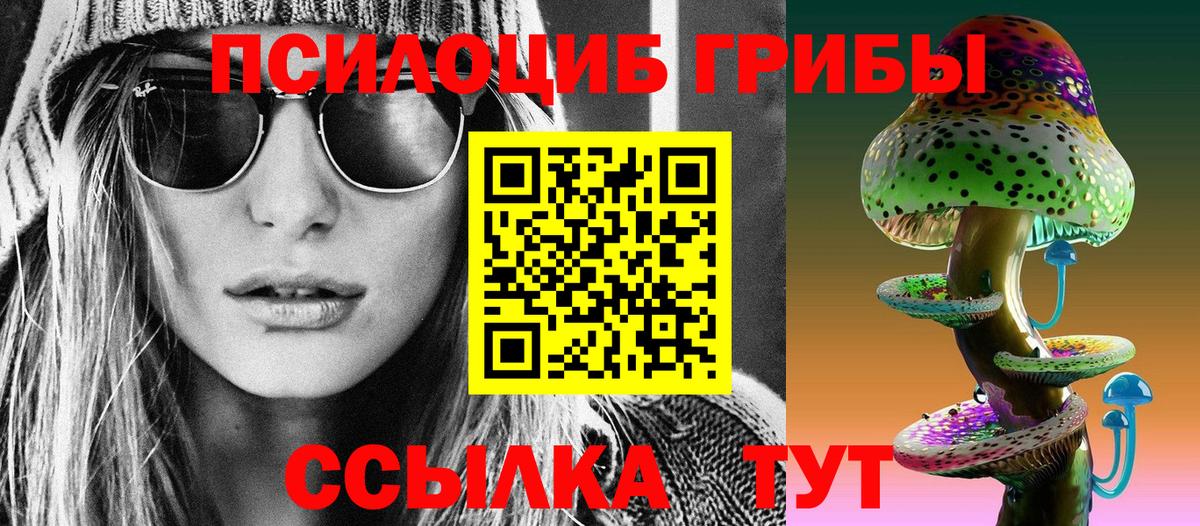 Галлюциногенные грибы Cubensis Приморско-Ахтарск